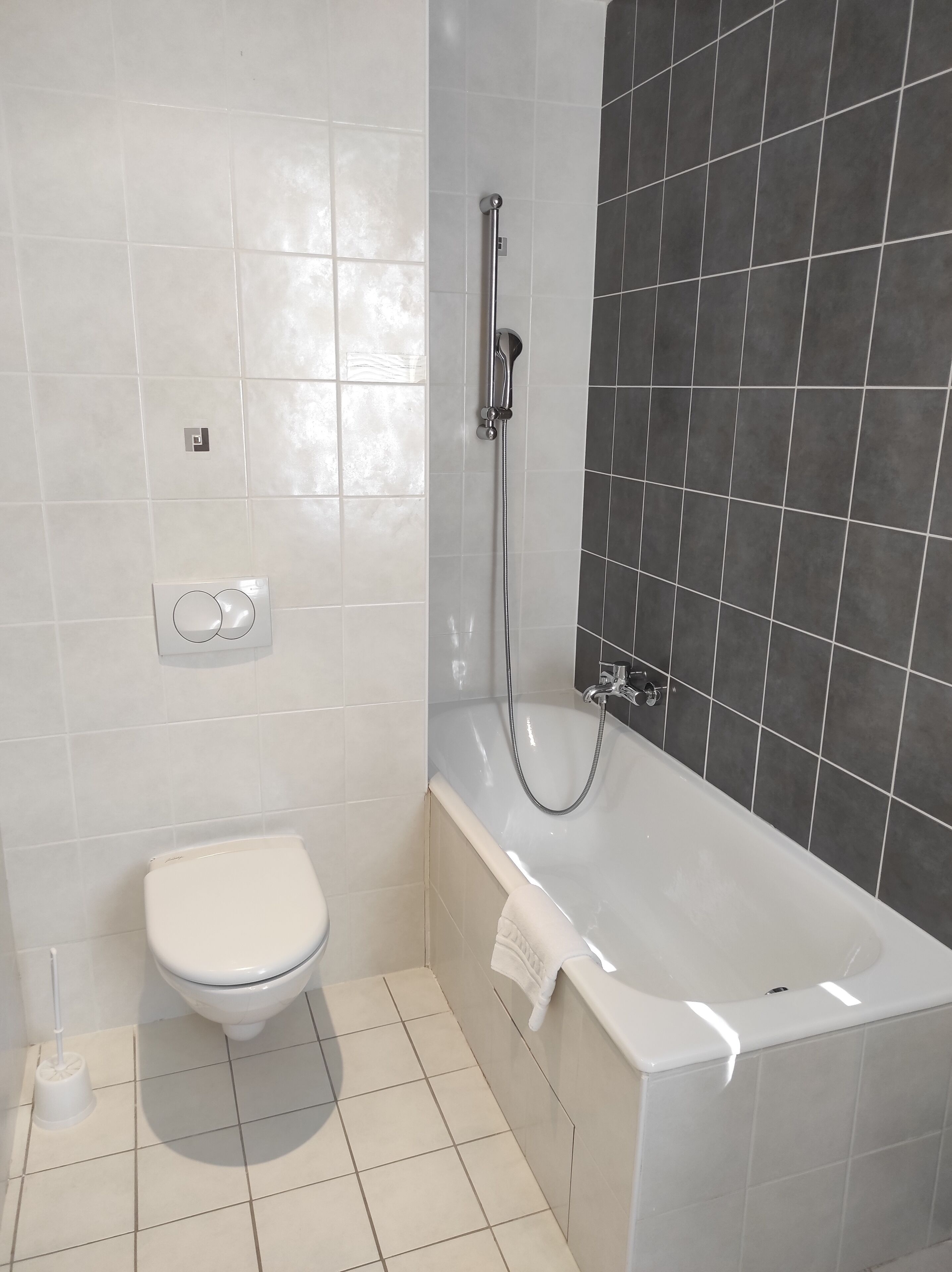 Une salle de bain avec des toilettes, une baignoire et une douche.