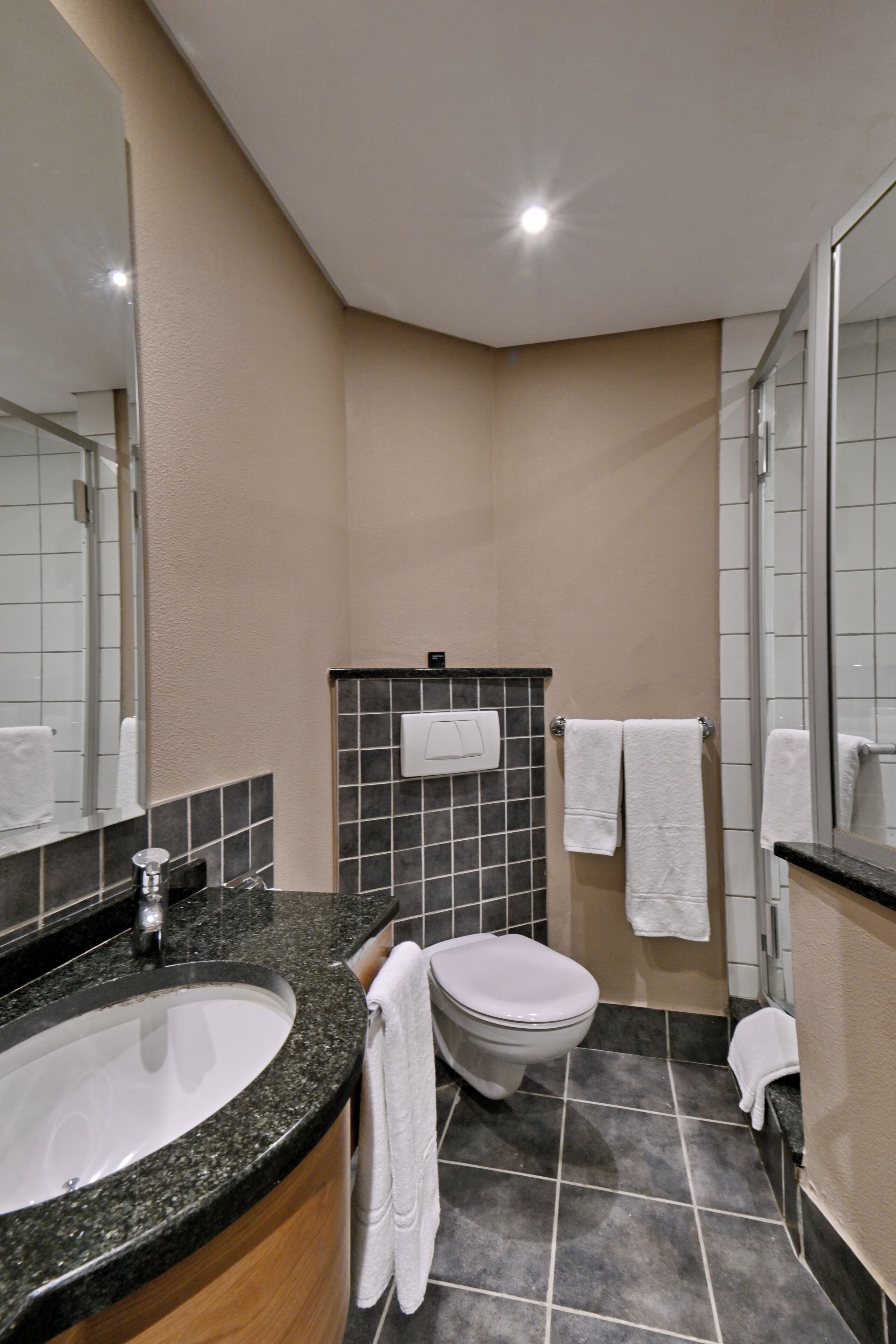 shower, free toiletries, hair dryer, bidet