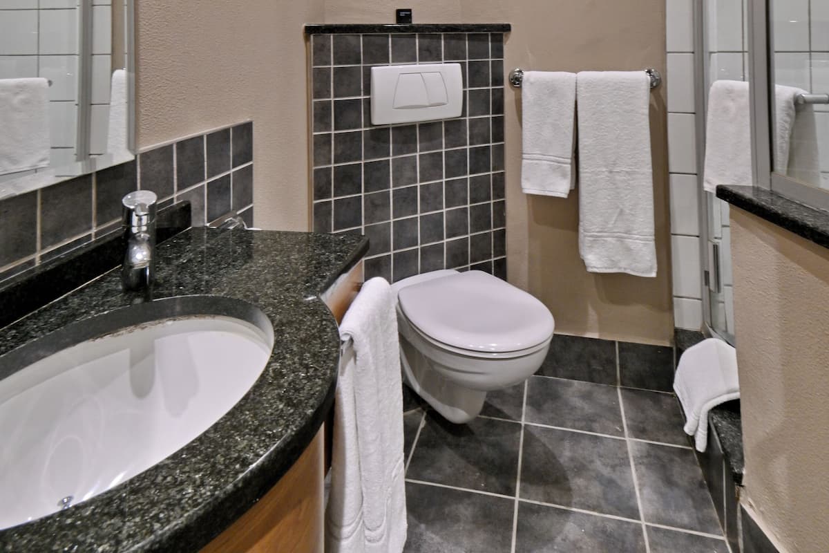 Ducha, artículos de higiene personal gratuitos, secador de pelo y bidé