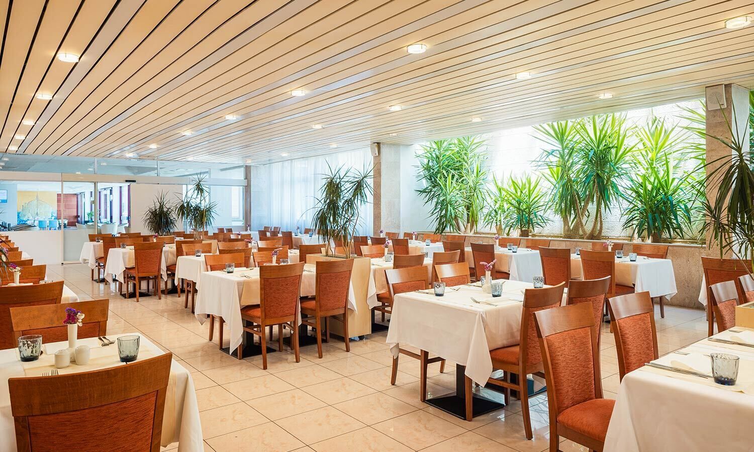 Un comedor amplio con varias mesas y sillas, ventanas grandes y plantas de interior.