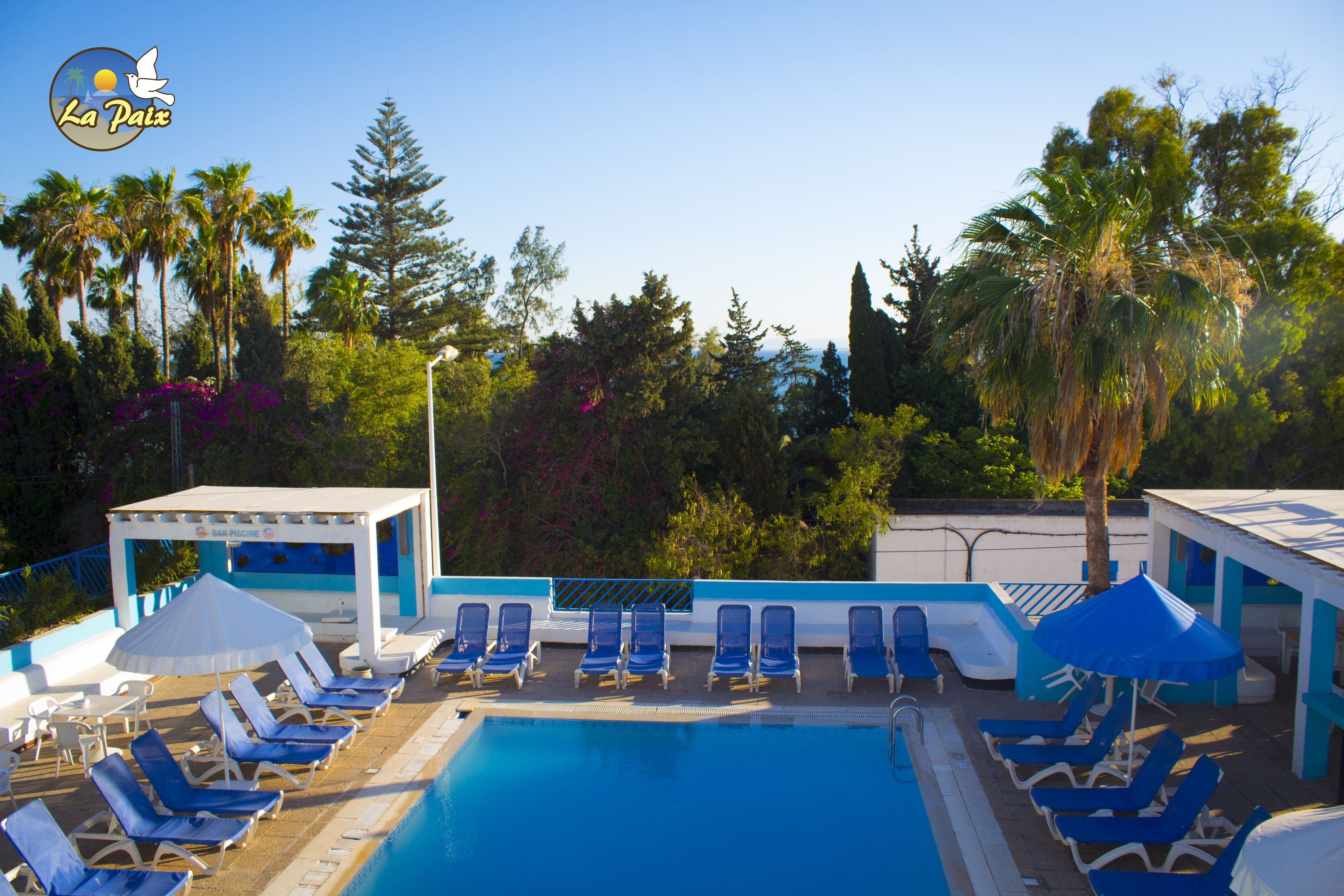 Piscine ext érieure