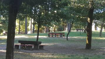 Un parque con mesas de picnic y bancos, rodeado de árboles.