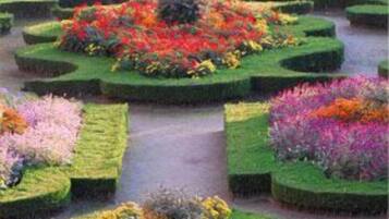 Giardino