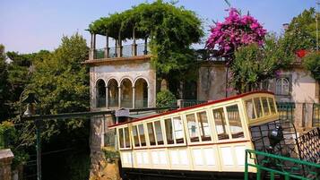 Un tranvía antiguo con techo rojo, un edificio de piedra con ventanas de arco y un árbol con flores rosadas.