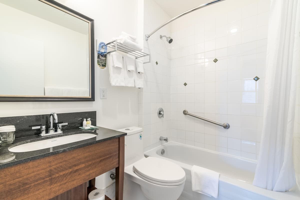 combined shower/bathtub, free toiletries, hair dryer, towels