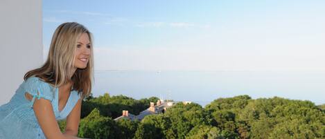 Vista desde la propiedad