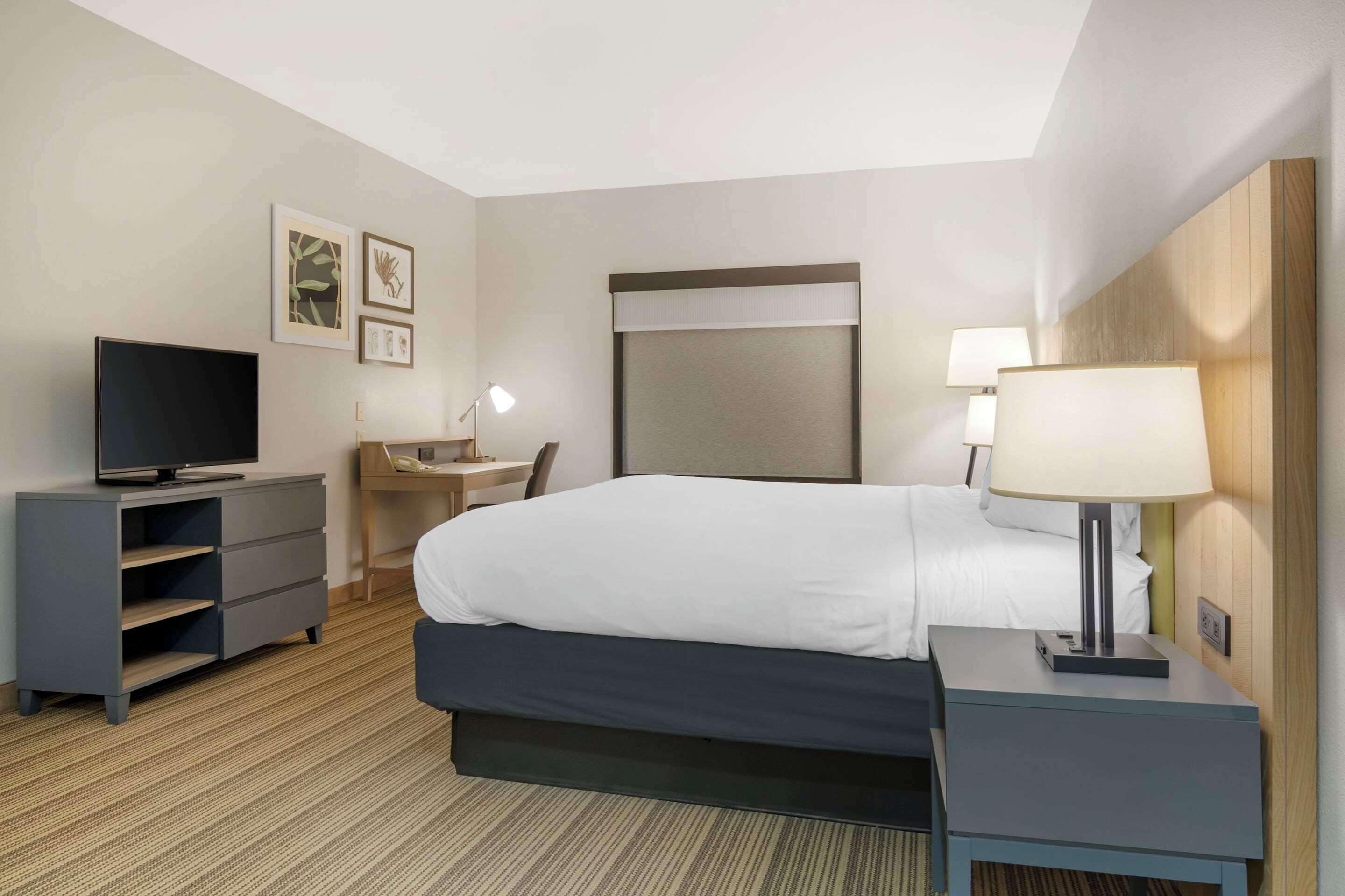 premium bedding, desk, iron/ironing board, free cots/infant beds