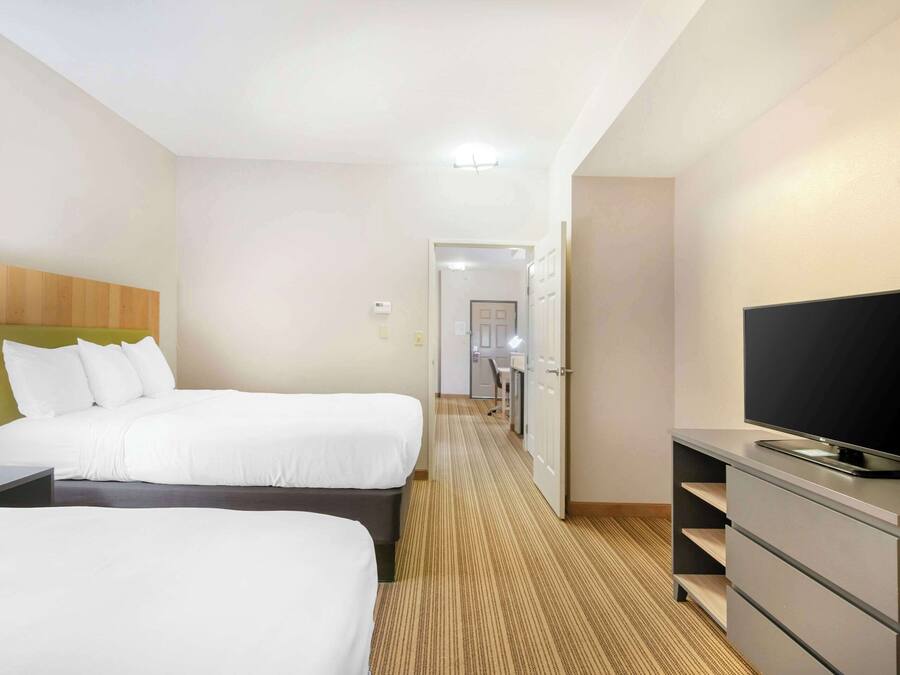 A hotel room with two beds, a TV on a dresser, and a carpeted floor.