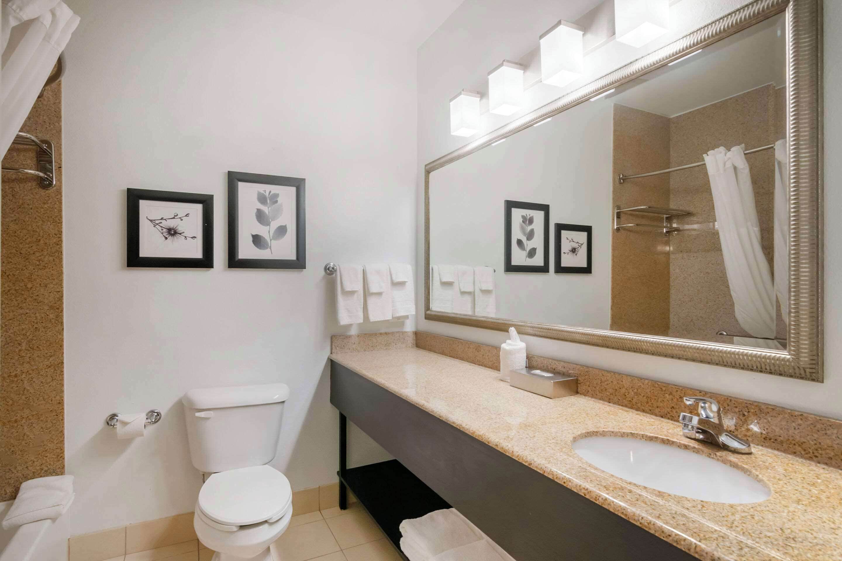 room, 1 king bed, non smoking | premium bedding, desk, iron/ironing board, free cots/infant beds