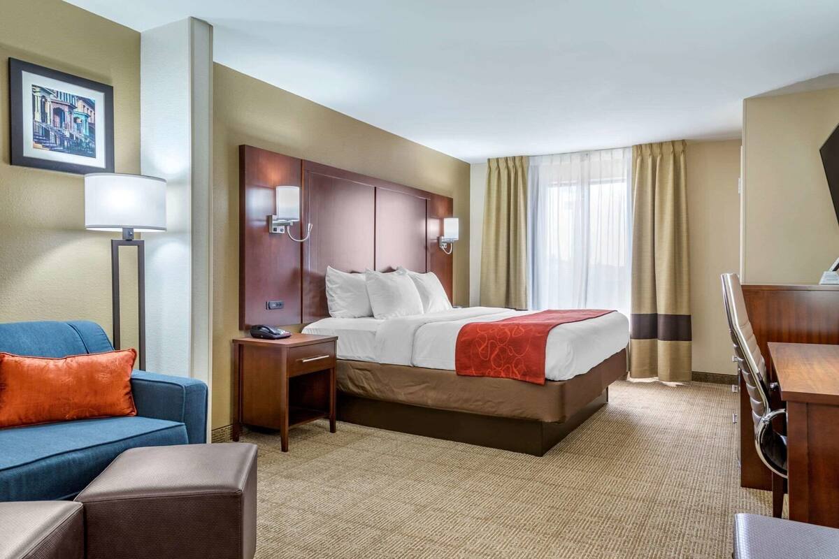 A hotel room with a bed, a desk, a chair, a sofa, a lamp, and a picture on the wall.