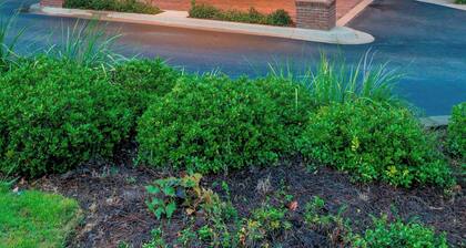 Courtyard by Marriott Montgomery Prattville