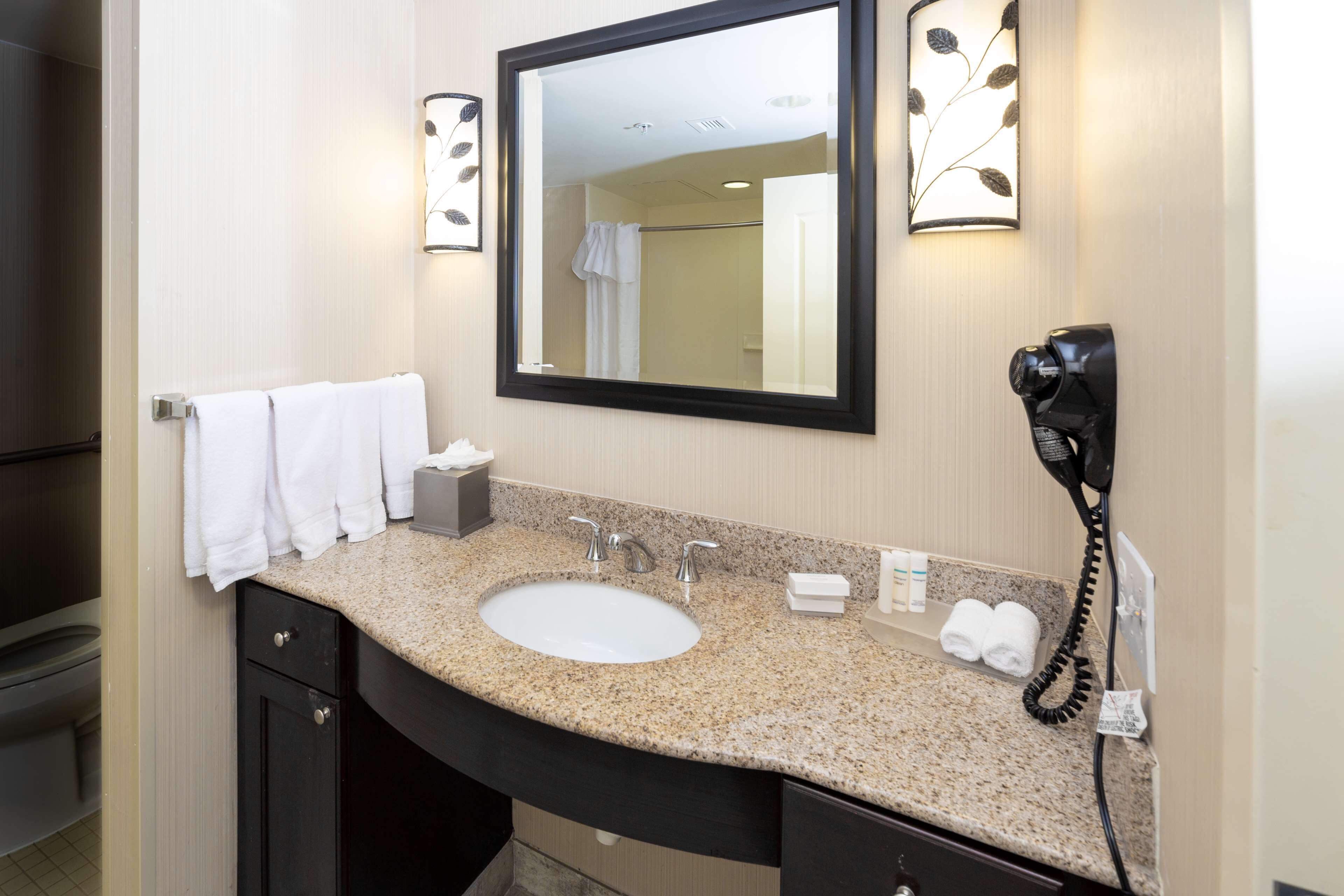 suite, 2 queen beds, accessible (mobility & hearing, roll-in shower) | bathroom | free toiletries, hair dryer, towels