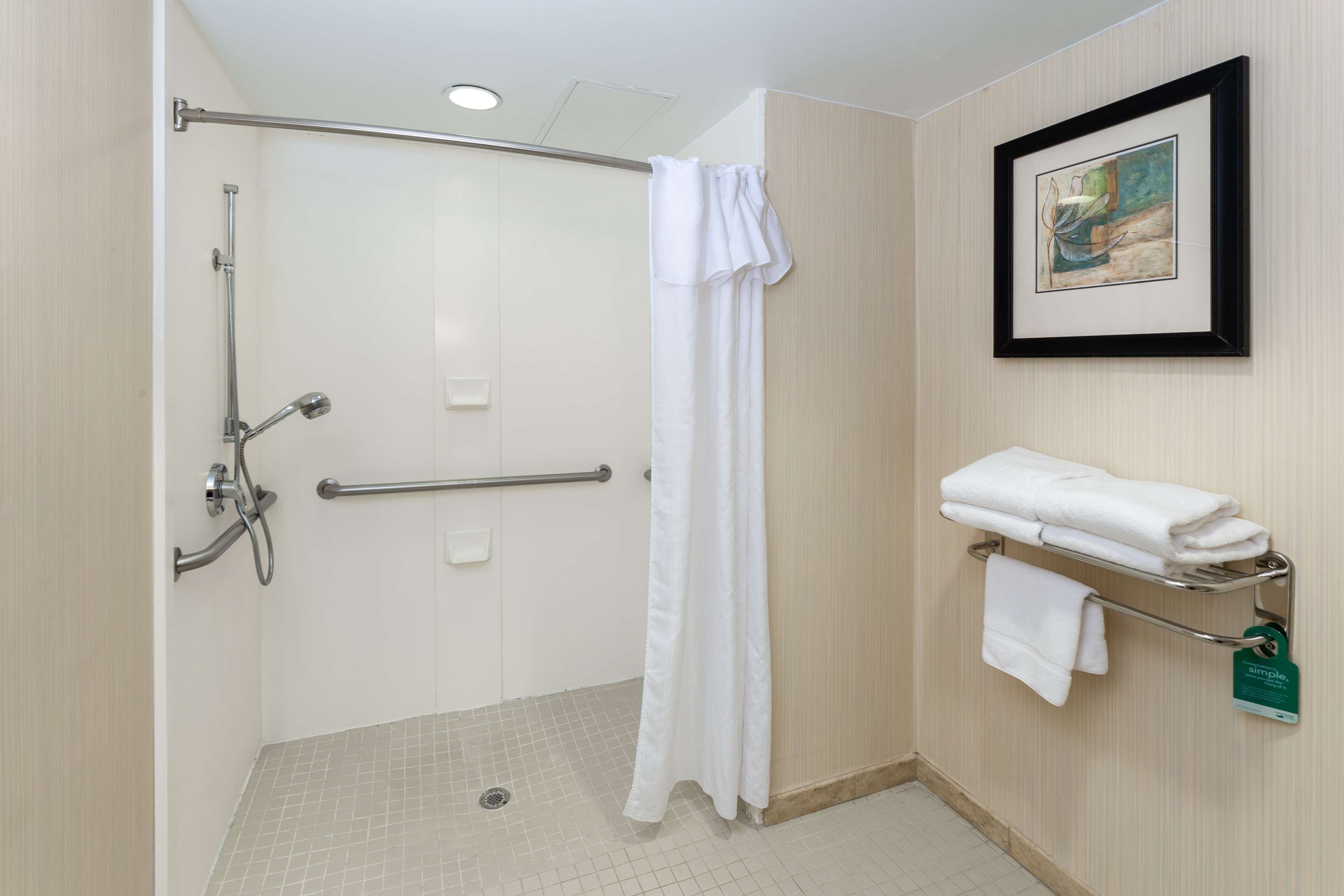 Une douche équipée d’une barre d’appui, un porte-serviettes avec des serviettes pliées et une œuvre d’art encadrée accrochée au mur.