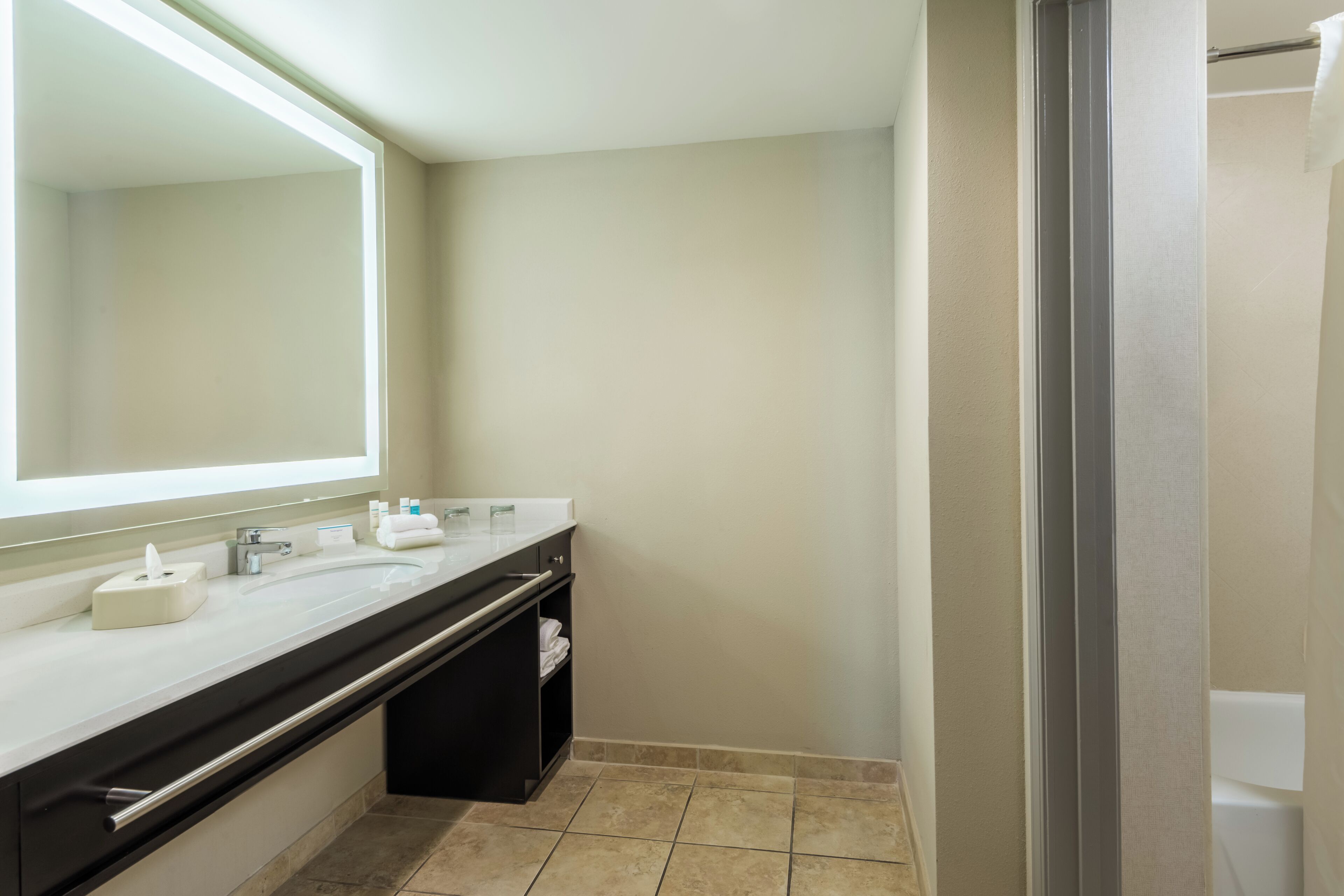 Un baño moderno con un espejo grande, un lavabo y una zona de ducha.
