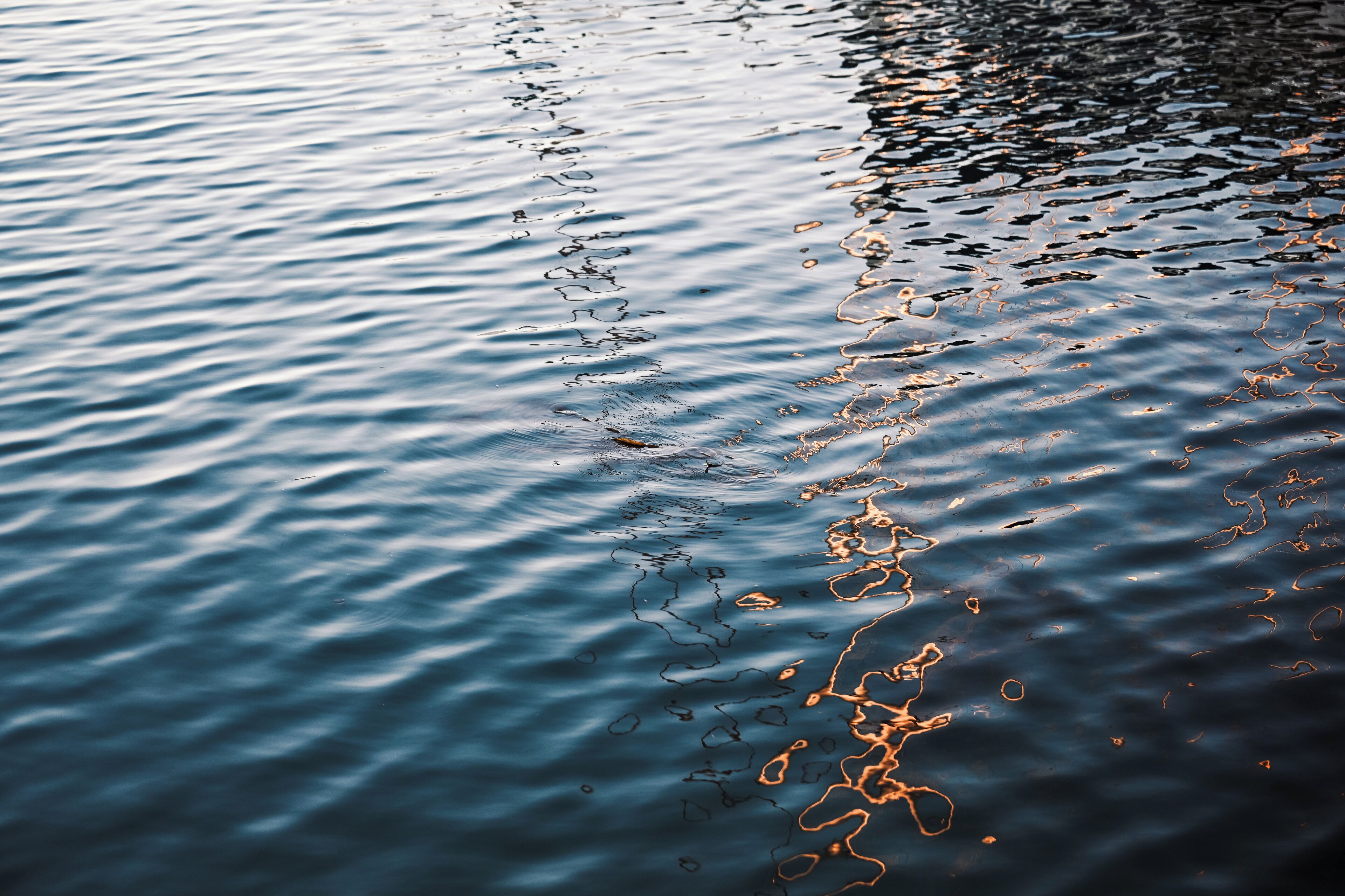 A calm body of water with ripples and reflections.