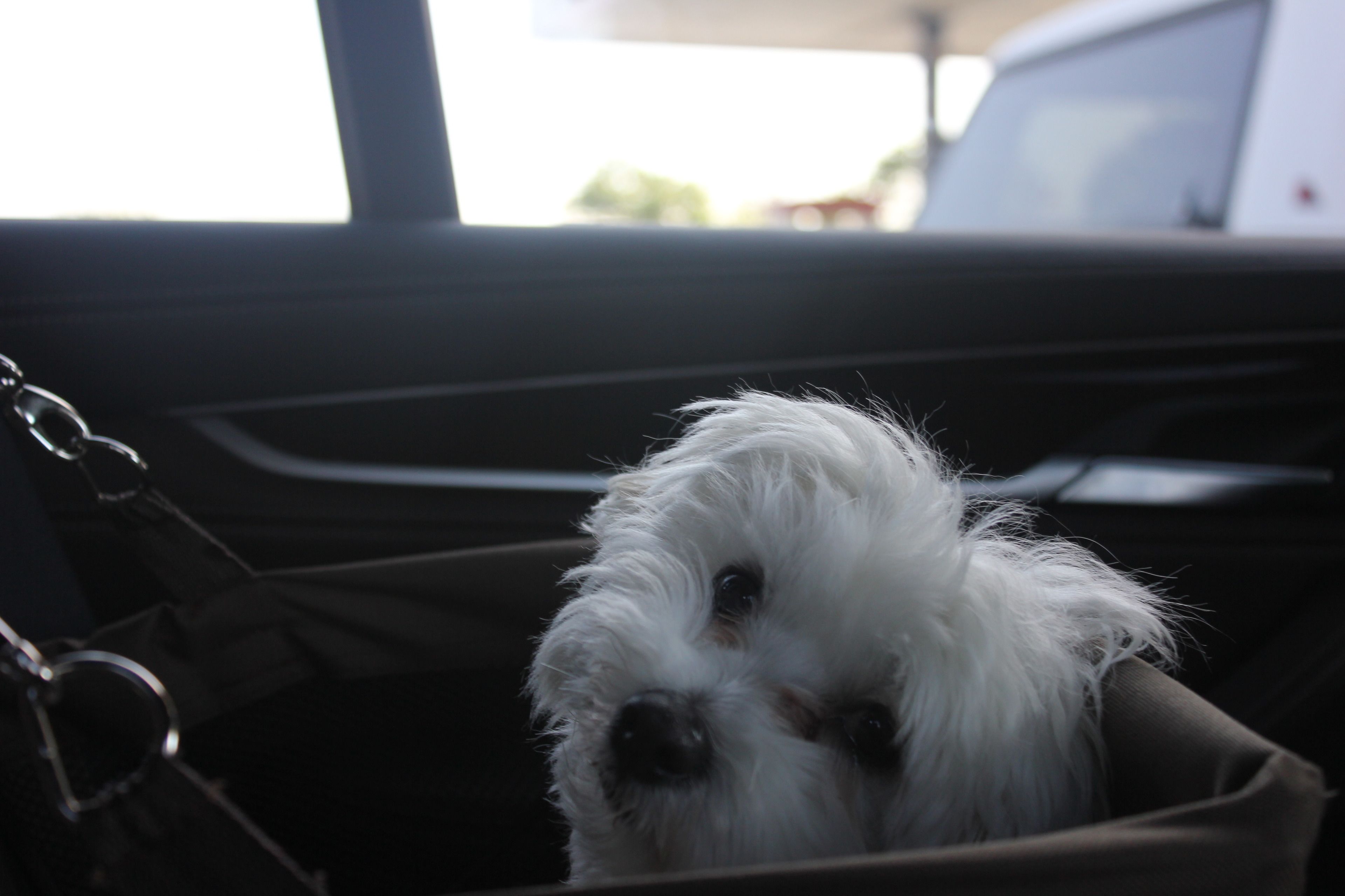 children’s play area – outdoor