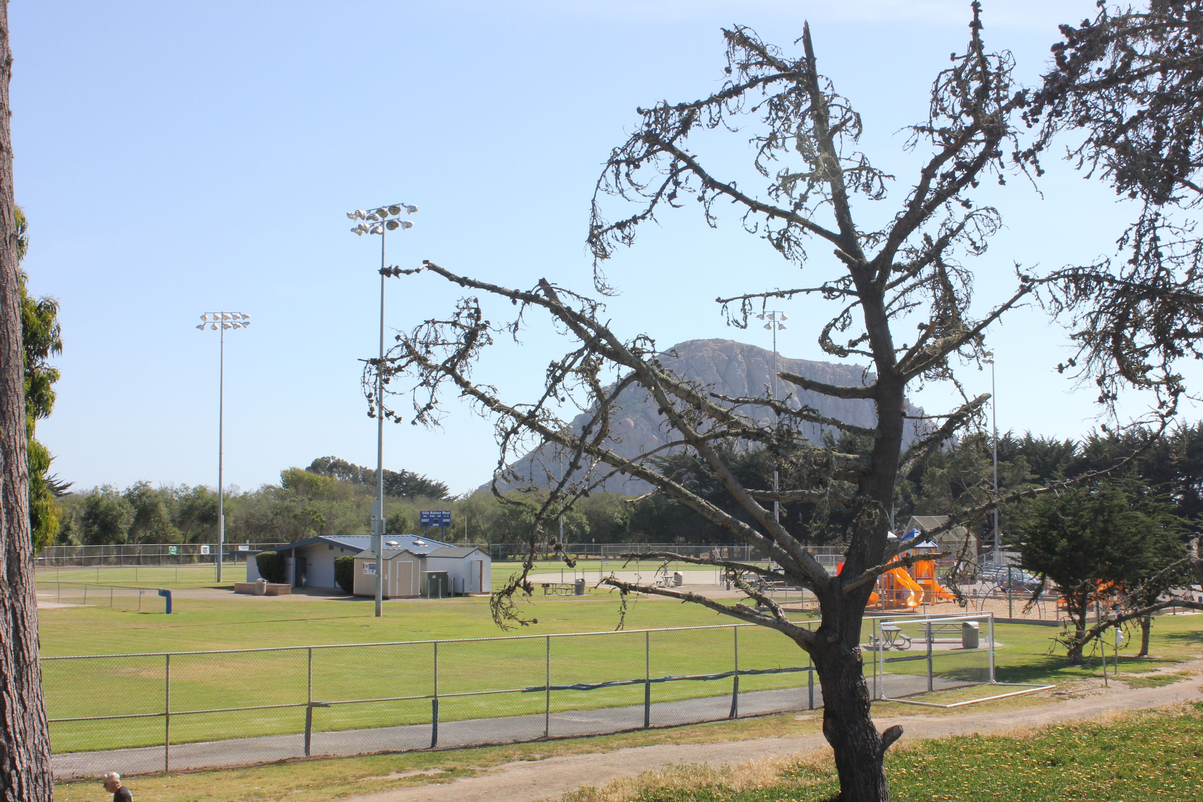 executive suite, non smoking | view from property