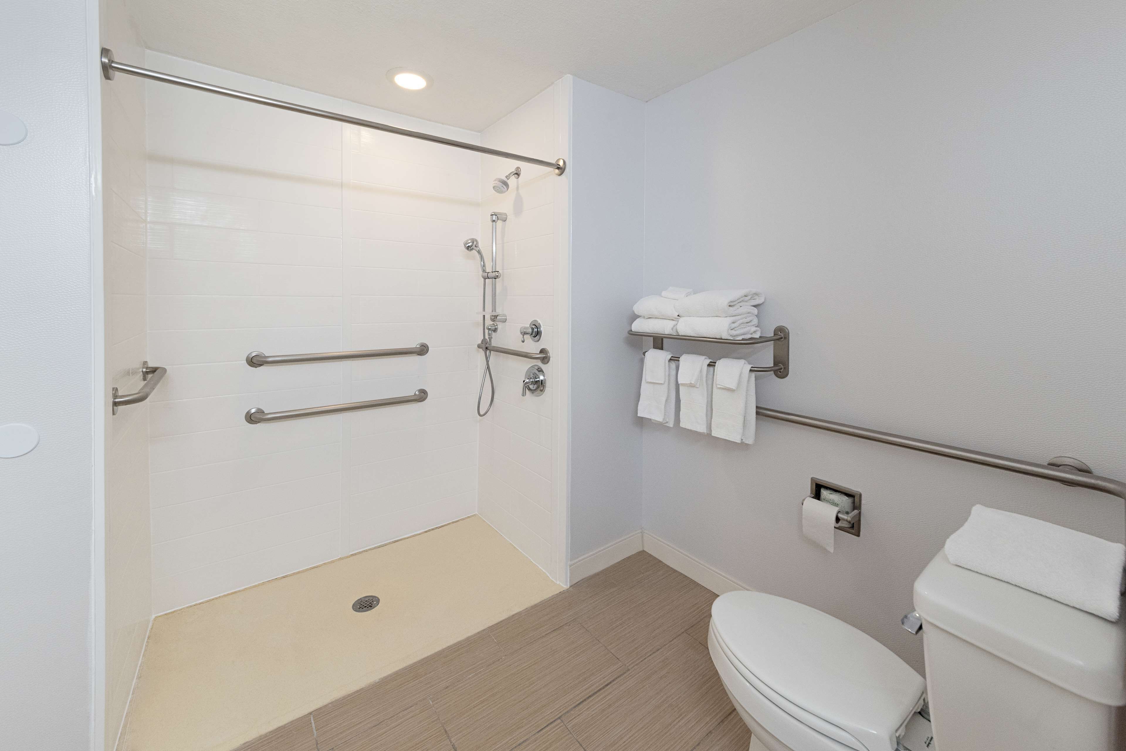 A modern bathroom with a walk-in shower, grab bars, a toilet, and a towel rack.
