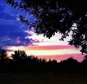 A sunset with silhouettes of trees and a clear sky. - Trade Winds Motel (Valentine)