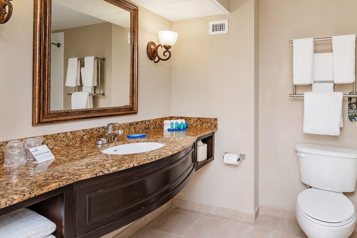 combined shower/bathtub, free toiletries, hair dryer, towels