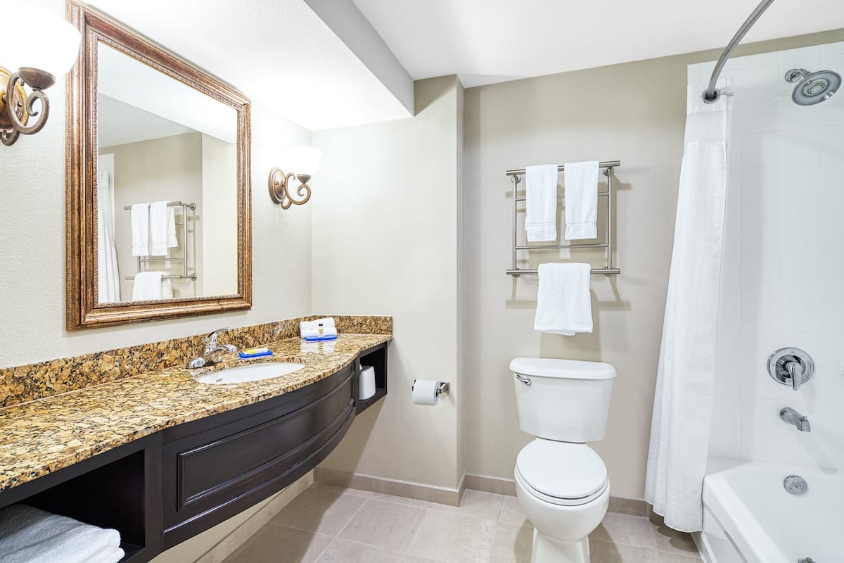 combined shower/bathtub, free toiletries, hair dryer, towels