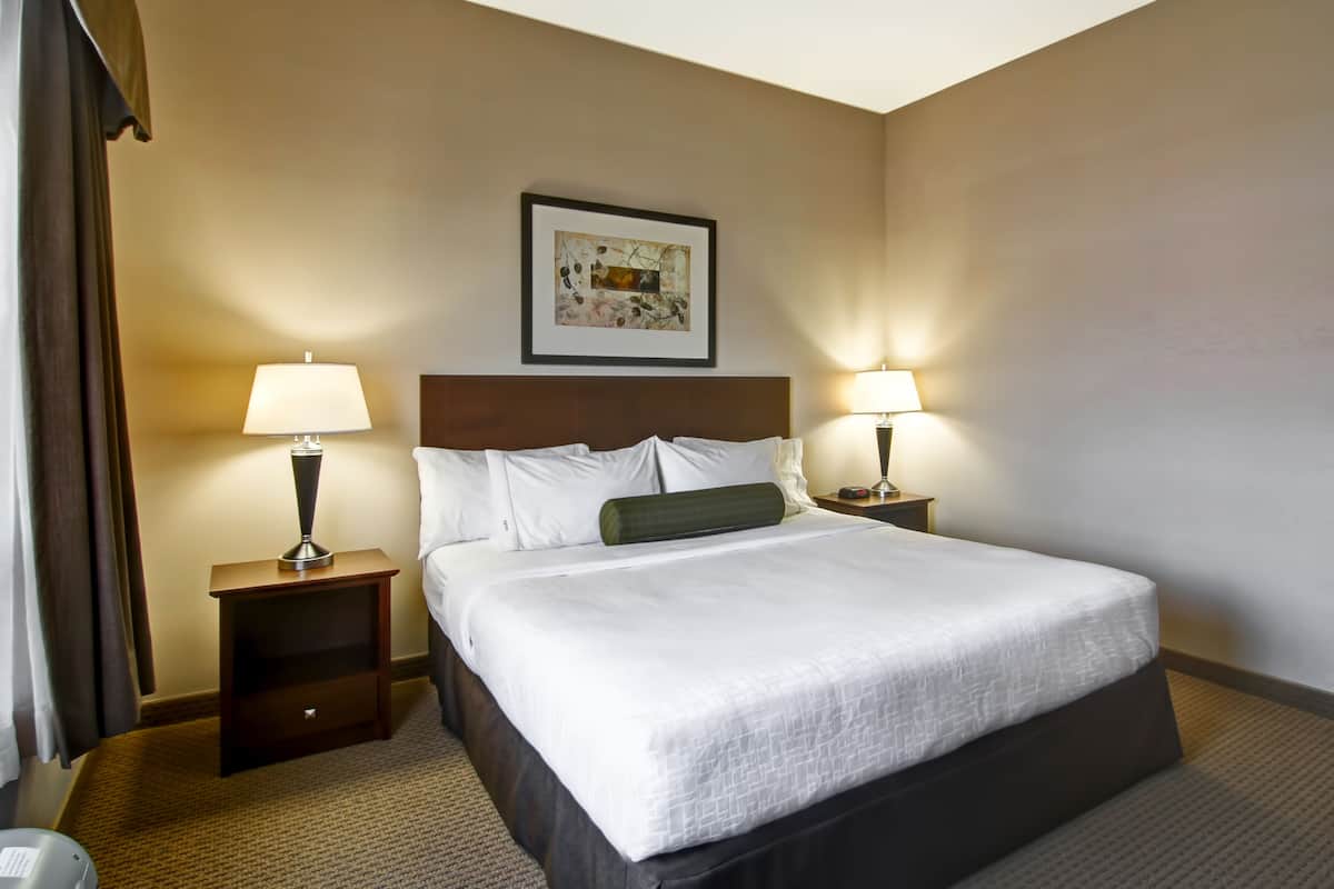 1 Schlafzimmer, Bügeleisen/Bügelbrett, kostenloses WLAN