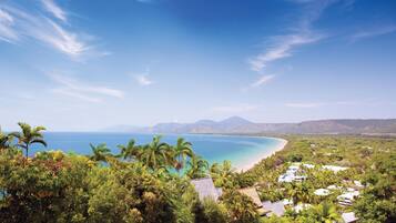Vista costera con playa, palmeras y casas.