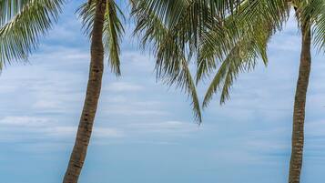 Private beach, white sand, sun-loungers, beach umbrellas