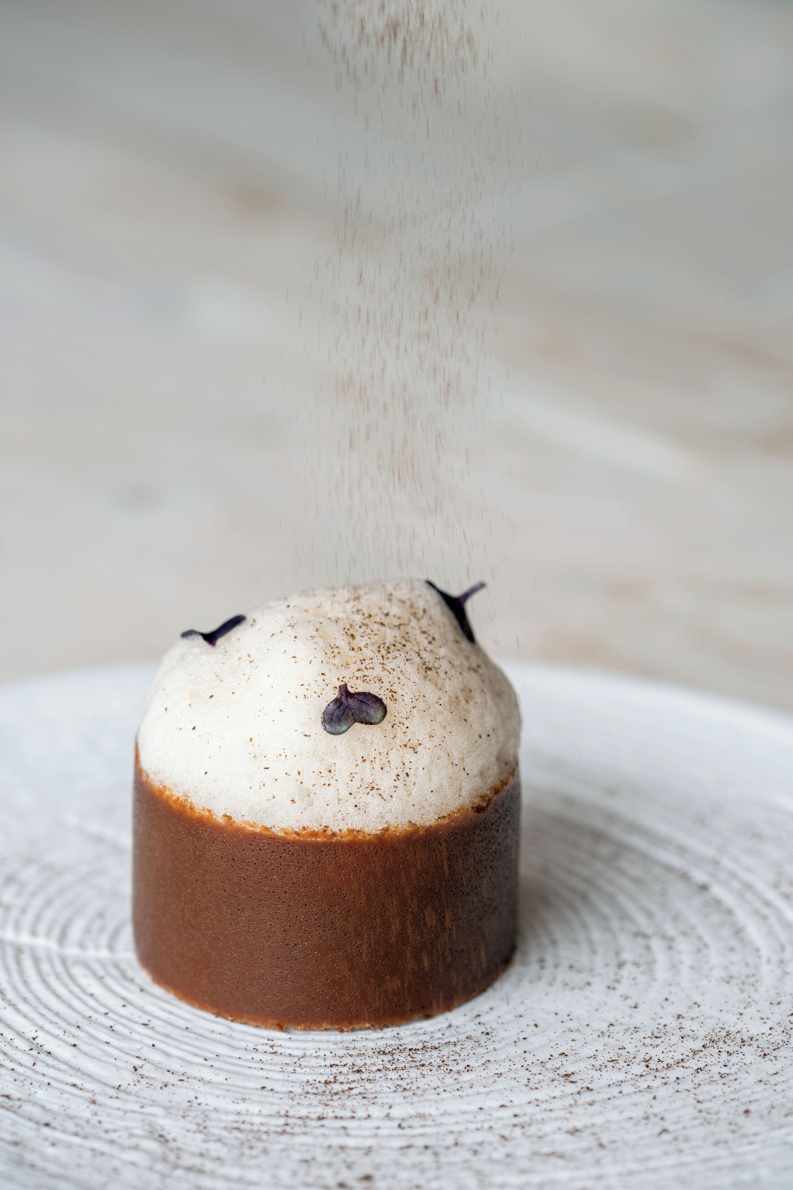 A cake with a dusting of cocoa powder on a white plate.