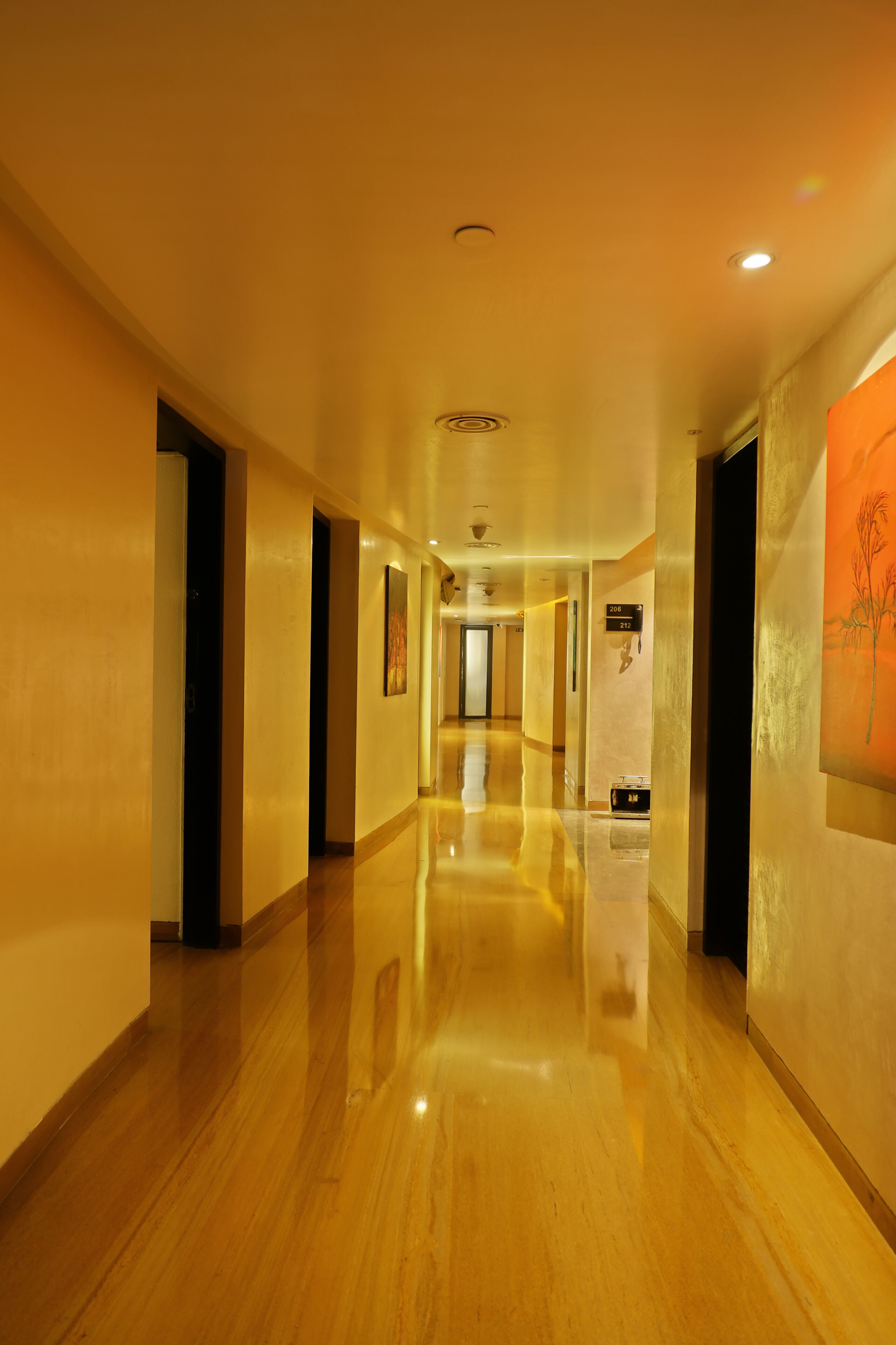 Foto - Mosaic Original,Noida