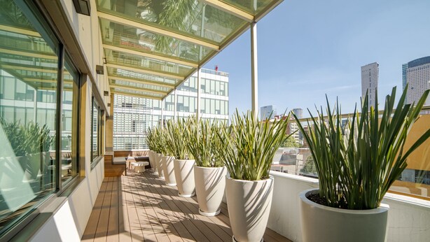 Una terraza moderna en la azotea con plantas en macetas, piso de madera y grandes ventanales que ofrecen vistas a la ciudad.