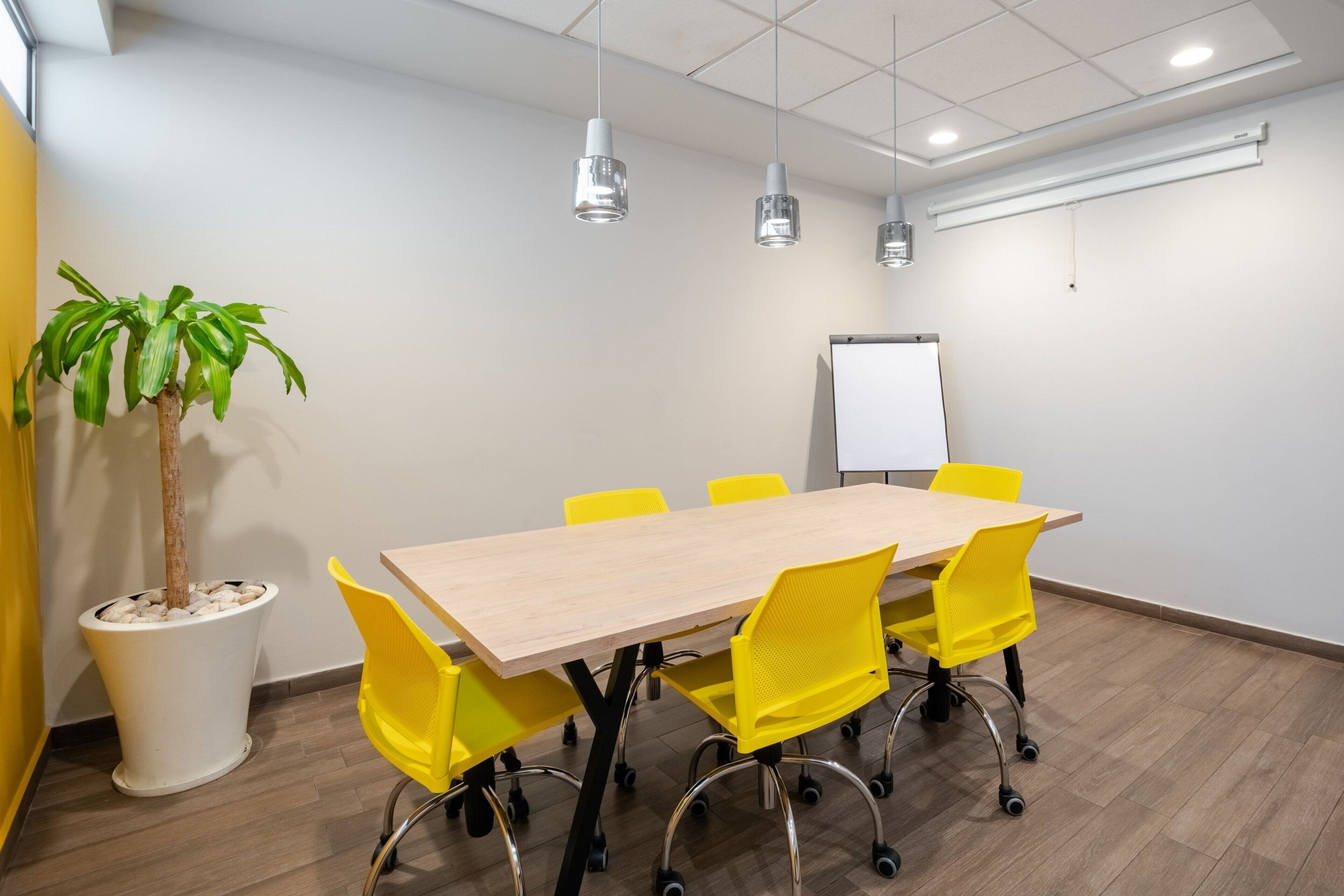 Foto - City Express Suites by Marriott Ciudad de México Anzures