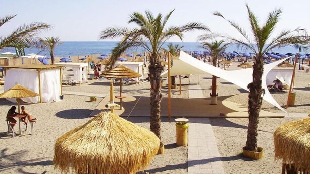A beach with thatched umbrellas, palm trees, and beach chairs.