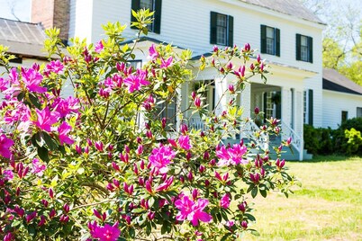 Oak Grove Bed and Breakfast