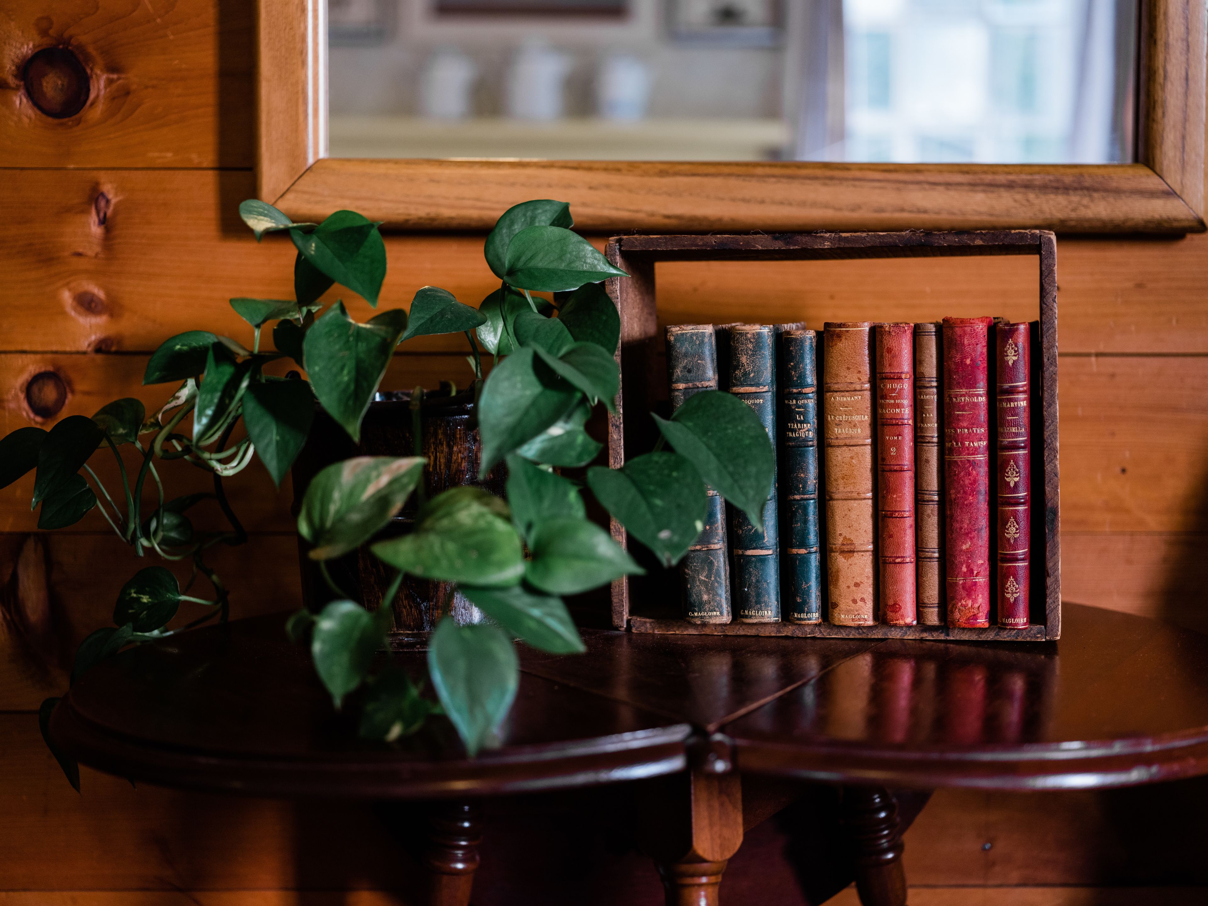 A wooden table with a plant and a row of vintage books.