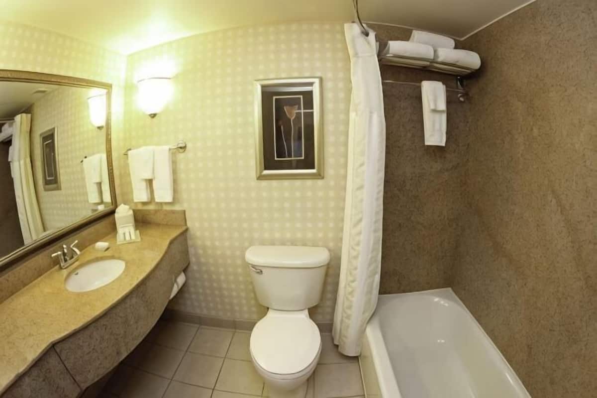 Combined shower/bathtub, free toiletries, hair dryer, towels