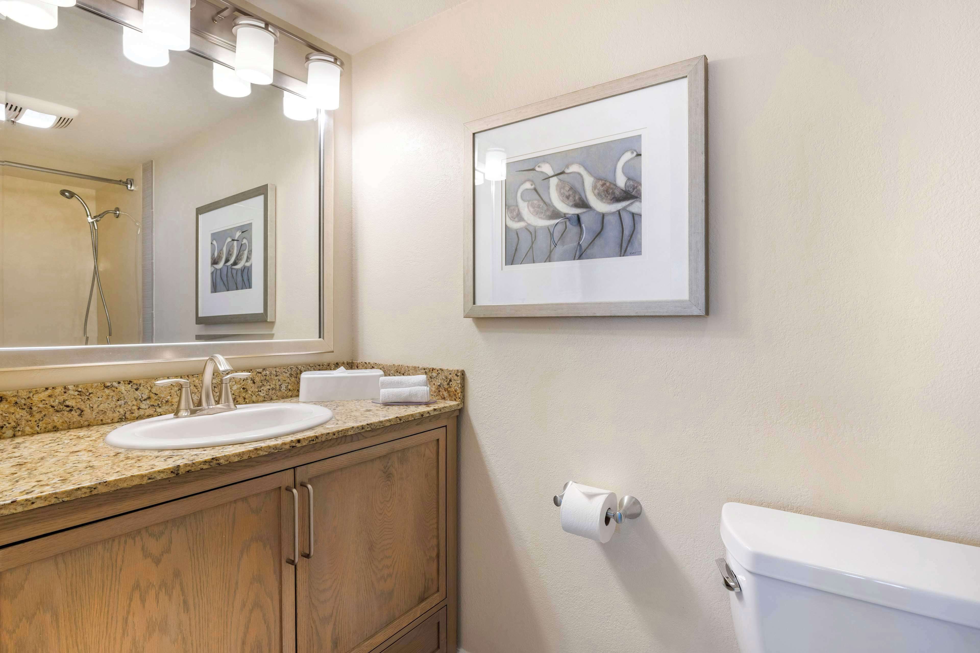 A bathroom with a granite countertop sink, wooden cabinets, a framed artwork of birds, a toilet, and a mirror with lights.