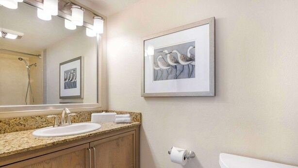 A bathroom with a granite countertop sink, wooden cabinets, a framed artwork of birds, a toilet, and a mirror with lights. - Hilton Vacation Club Riviera Beach & Shores (Dana Point)
