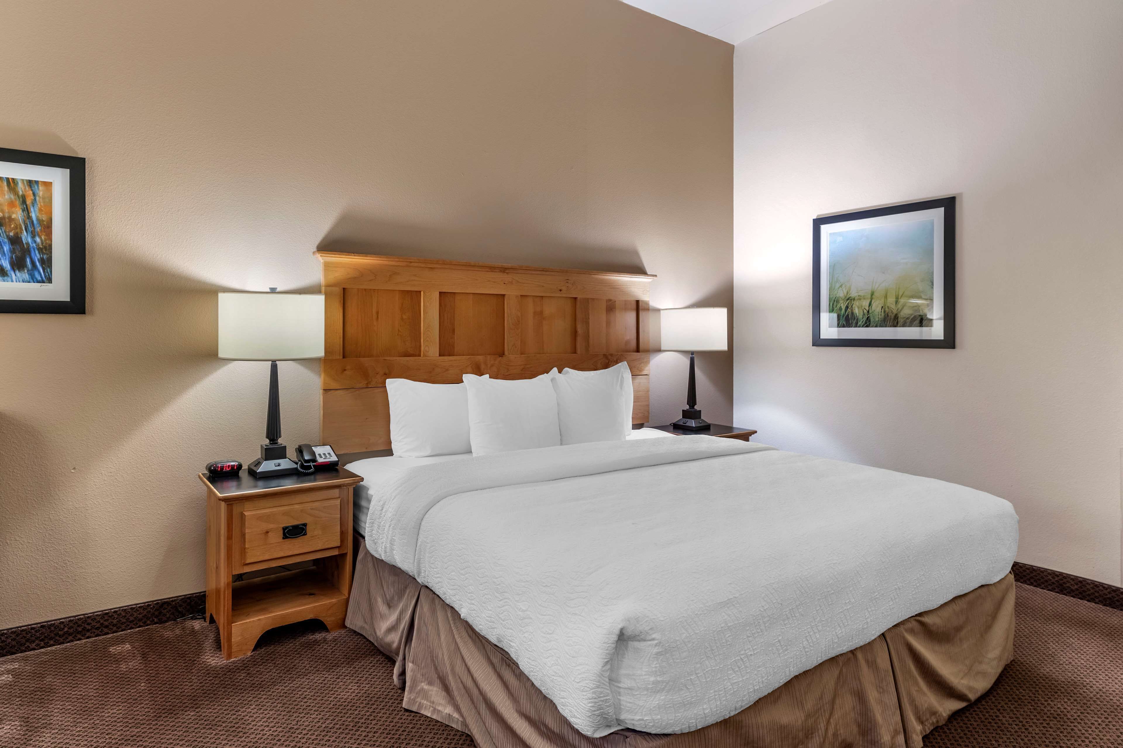 standard room, 1 queen bed, non smoking, refrigerator & microwave | desk, iron/ironing board, free cots/infant beds, free rollaway beds