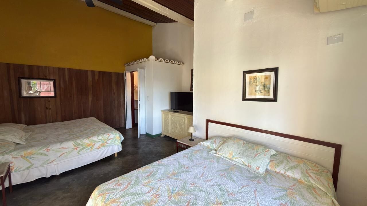 高級套房, 私人泳池 (19) | 10 間臥室、迷你吧、獨特裝潢、布置獨特