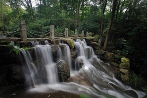 Ein Wasserfall stürzt über Felsen in einer bewaldeten Gegend mit einer Holzbrücke.