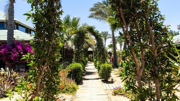 Jardines del alojamiento