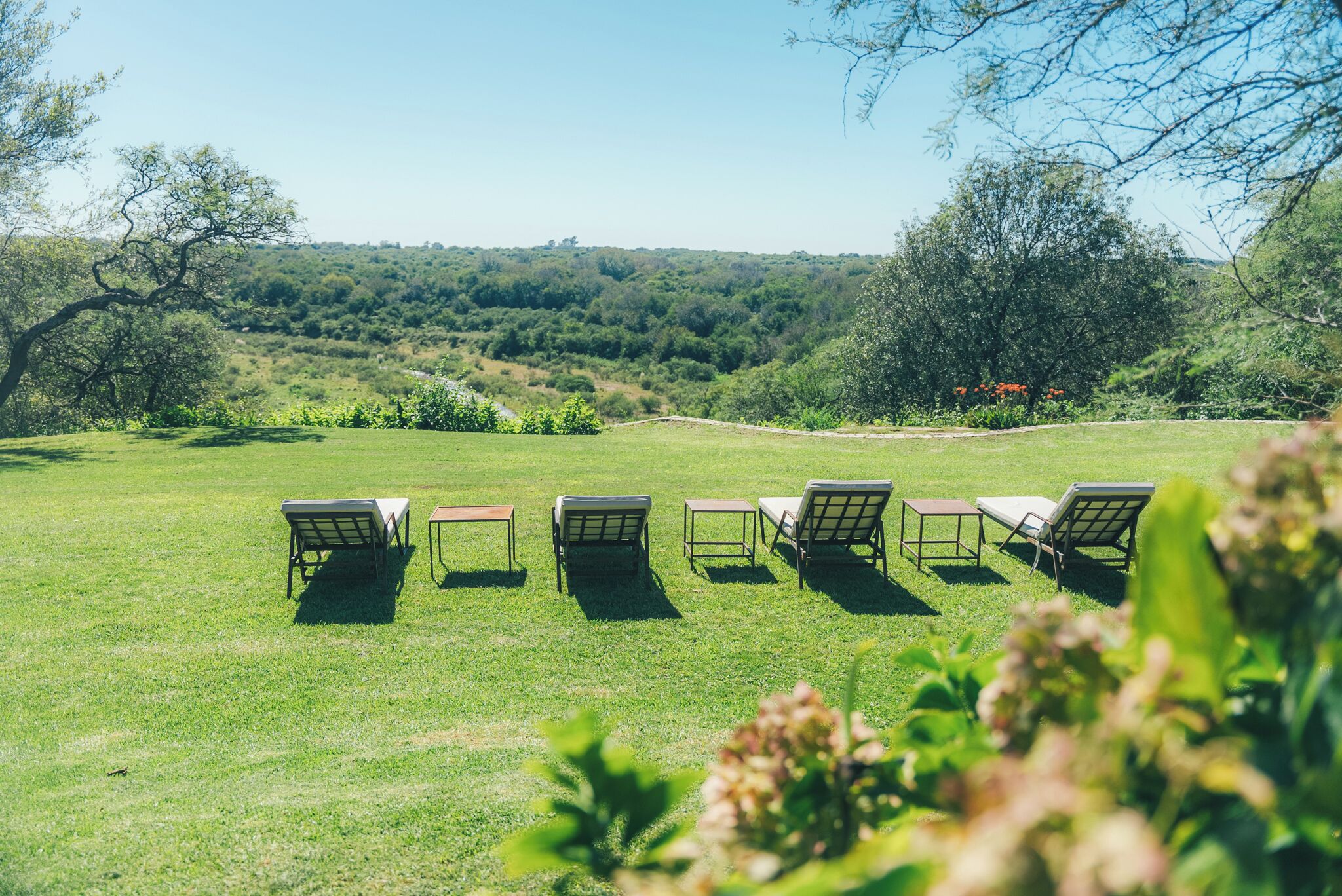 A grassy outdoor area with five lounge chairs and a small table, surrounded by trees and a hilly landscape in the background.