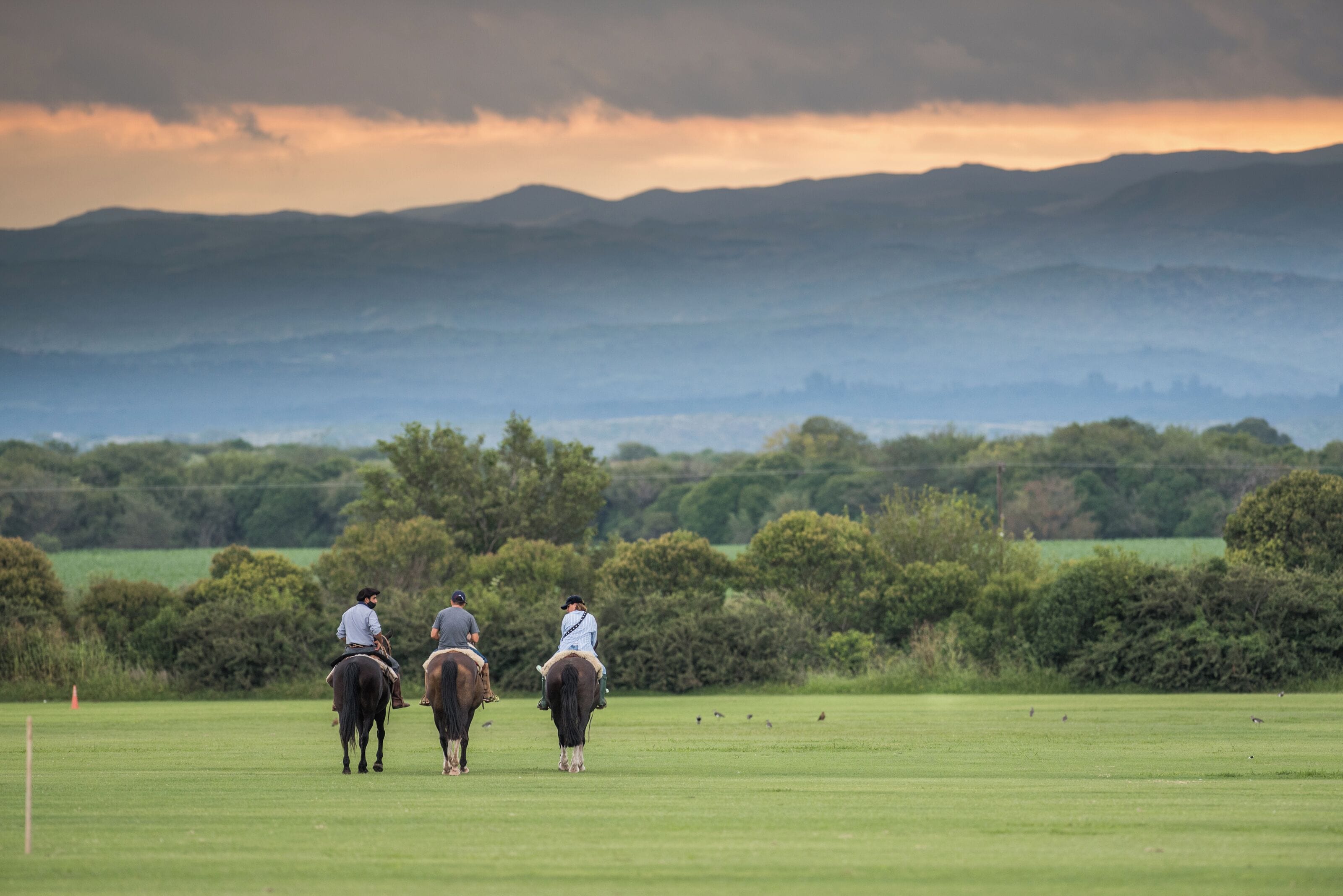 Drei Personen reiten auf Pferden über eine grüne Wiese mit Bergen im Hintergrund.