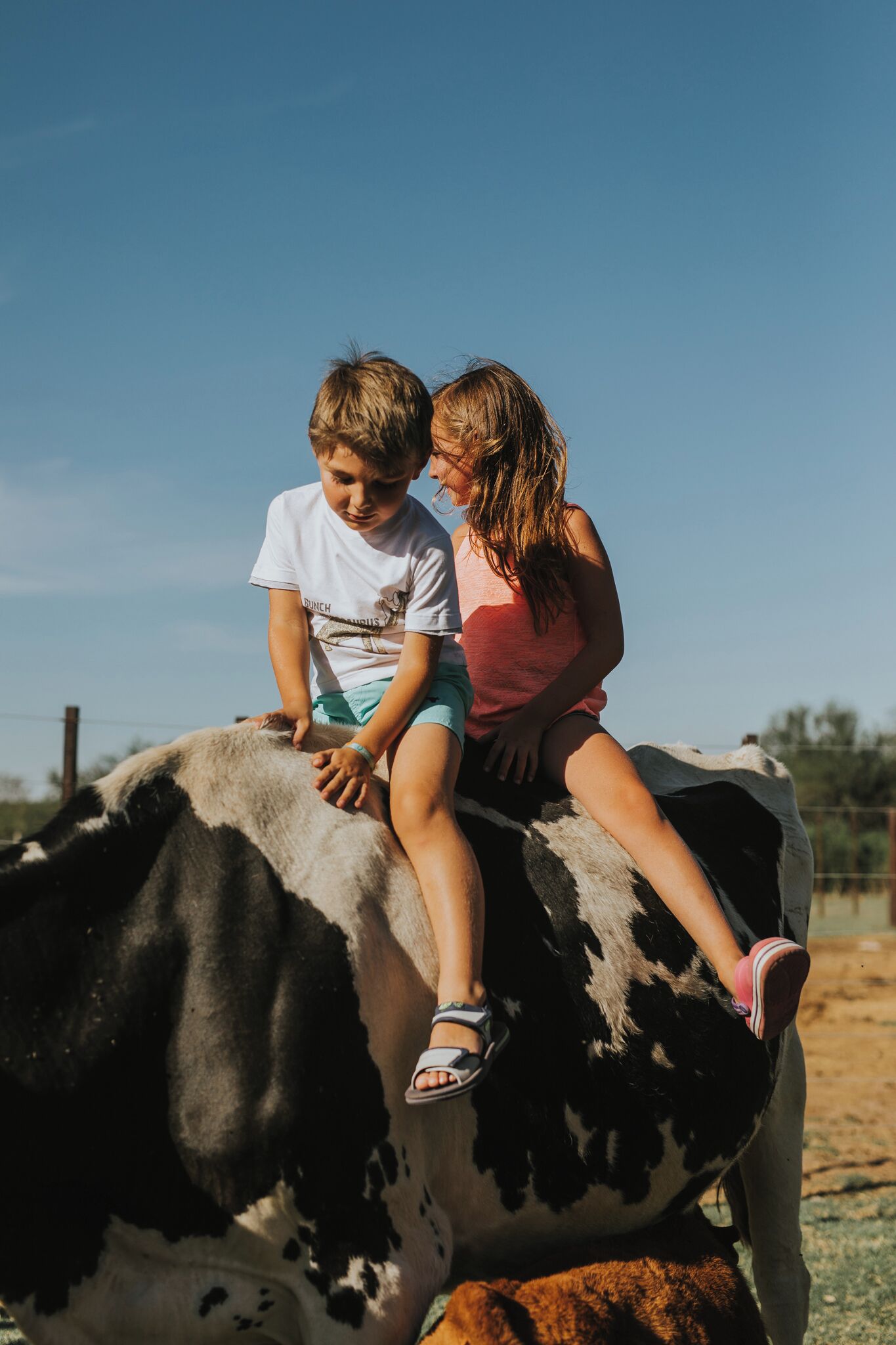 Two people sitting on a cow.