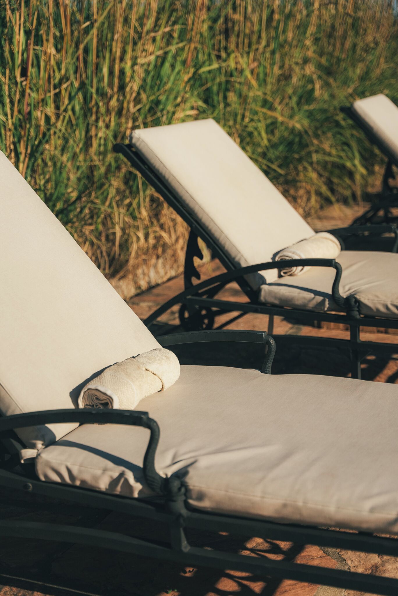 A row of sun loungers with cushions, positioned outdoors with tall grass in the background.