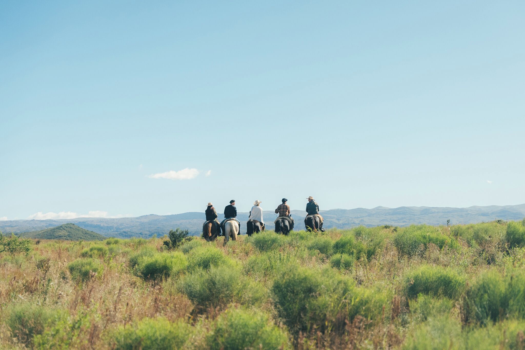 A group of people riding horses on a grassy hill with a clear sky.
