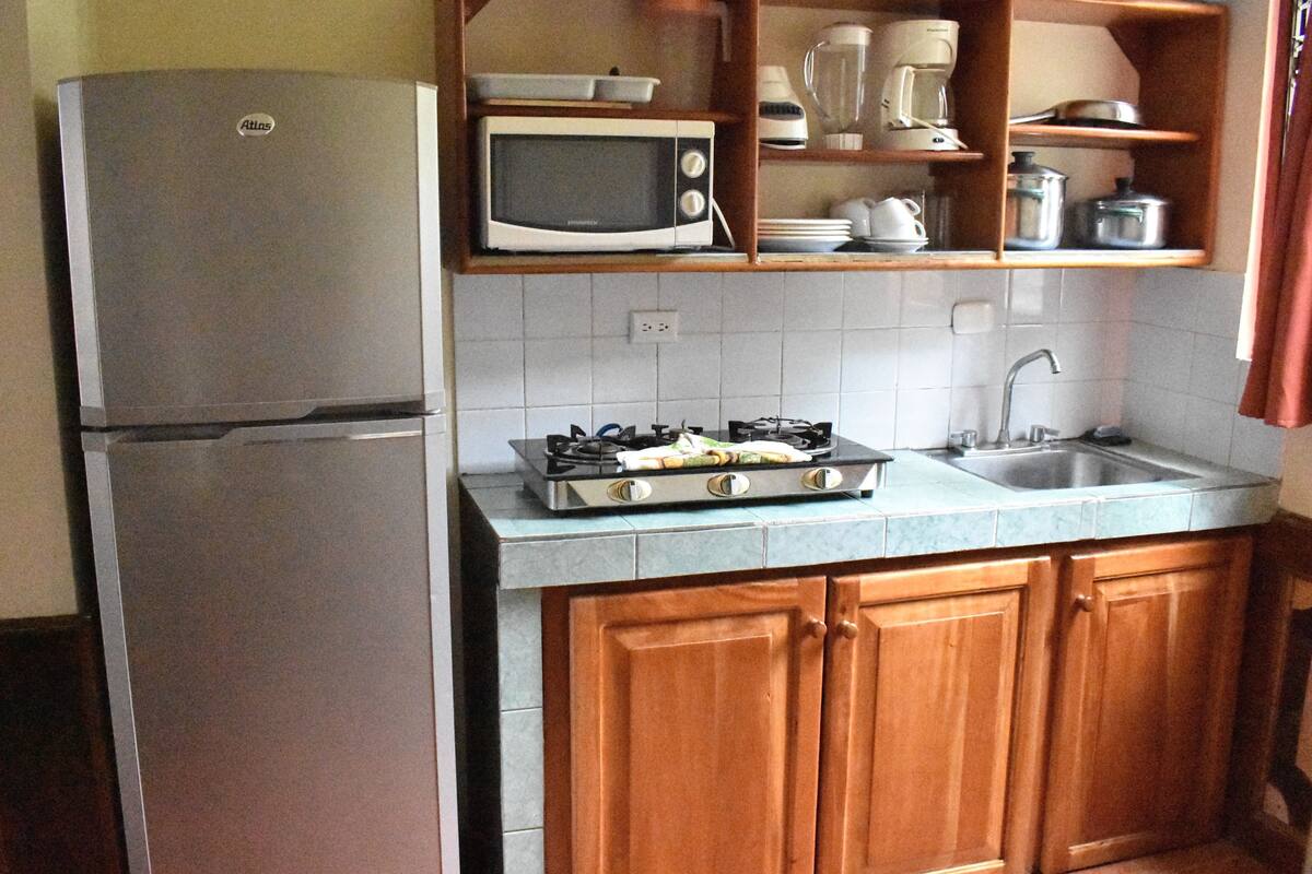 standard family room | private kitchen | fridge, microwave, electric kettle, blender