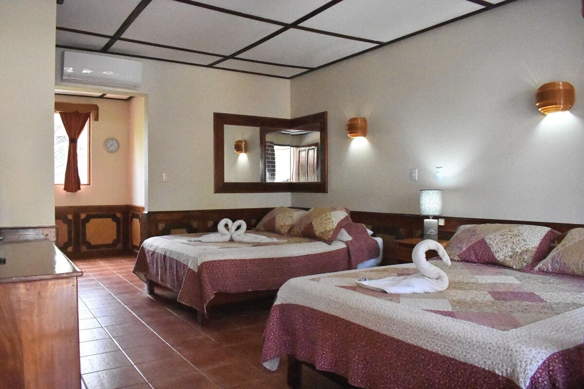 Premium bedding, in-room safe, blackout drapes, WiFi (free)