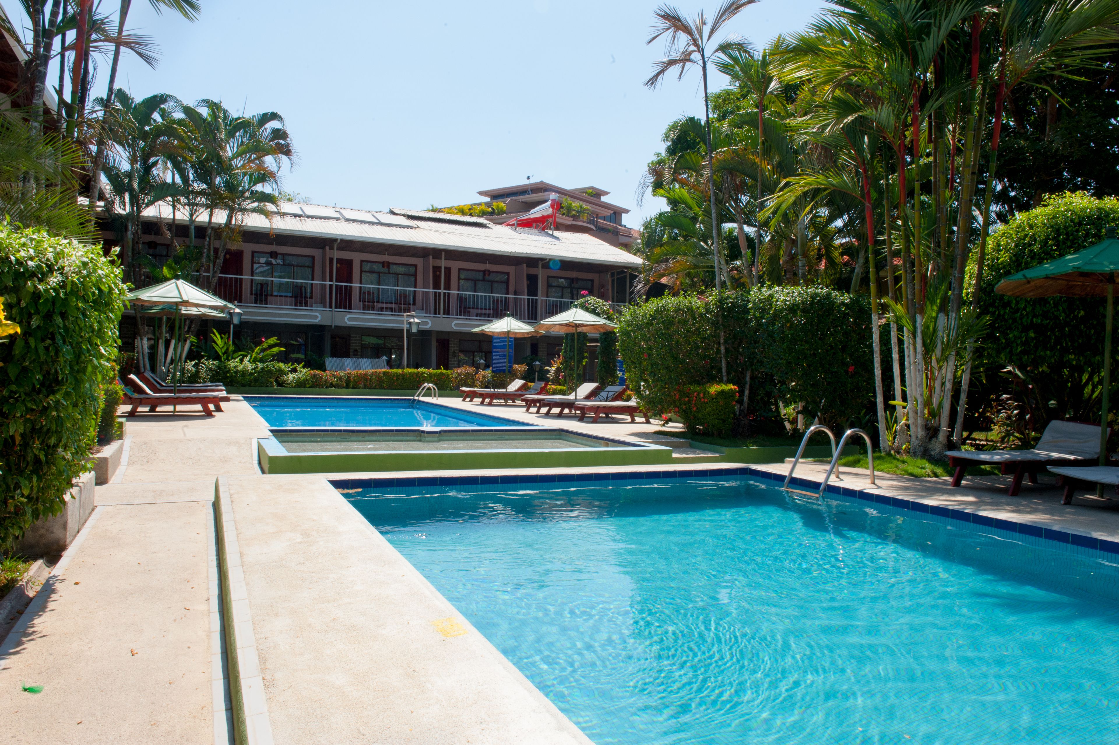 Una piscina con sillones de descanso y sombrillas, rodeada de palmeras y un edificio de techo plano.